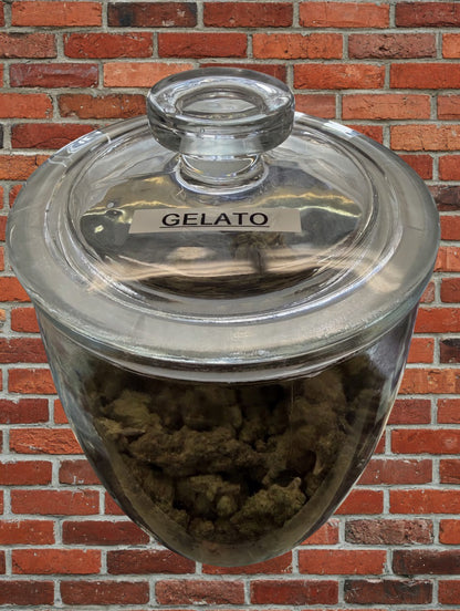 Asheville Vapor 1G Flower